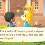 Zipper T. Bunny introduces themself.