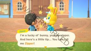 Zipper T. Bunny introduces themself.