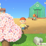 All About Animal Crossing: New Horizons' Bug-Offs!