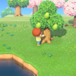 All About Animal Crossing: New Horizons' Bug-Offs!