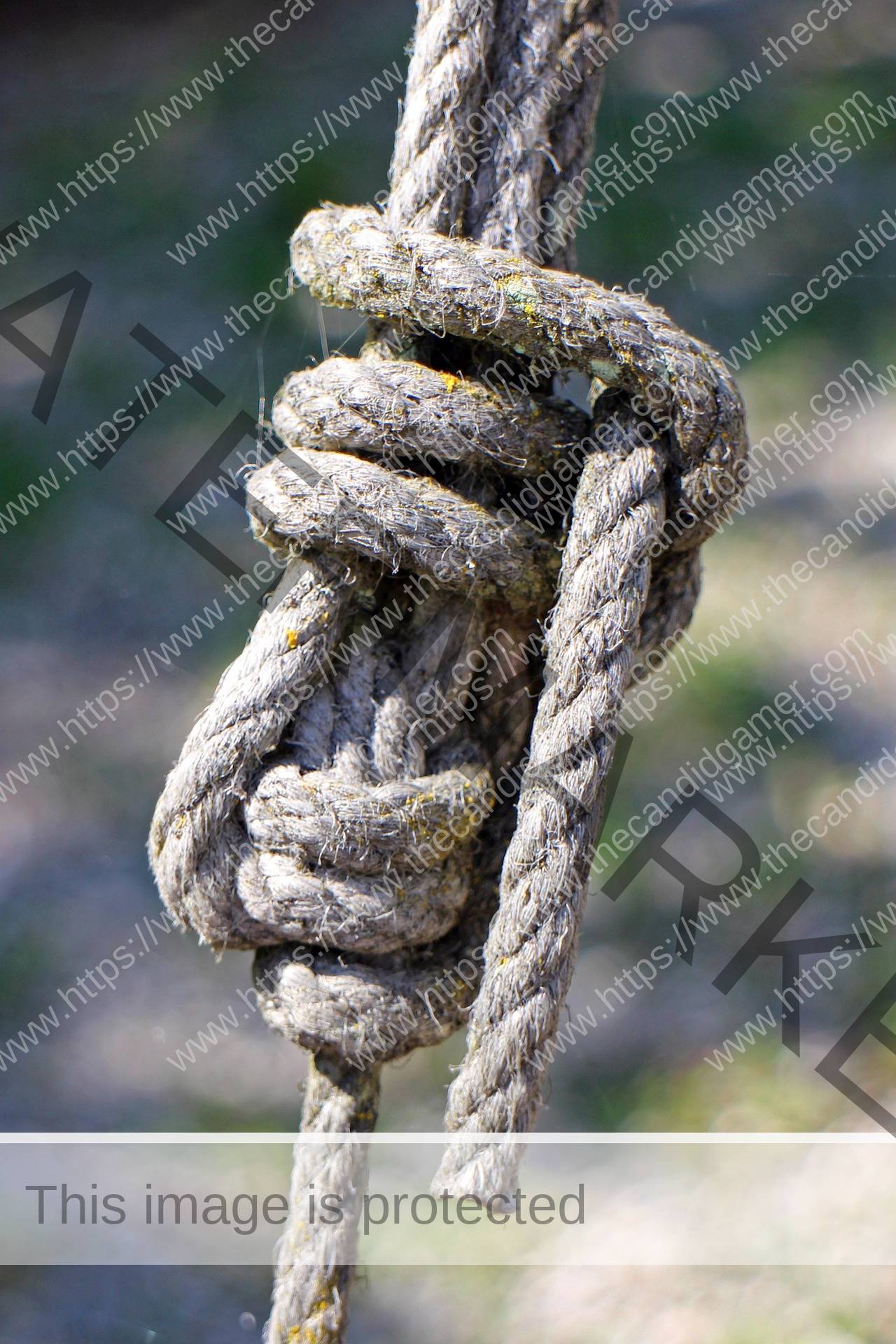A rope tied into a knot. A loose portion of the stands out, allowing for the loosening of the knot.